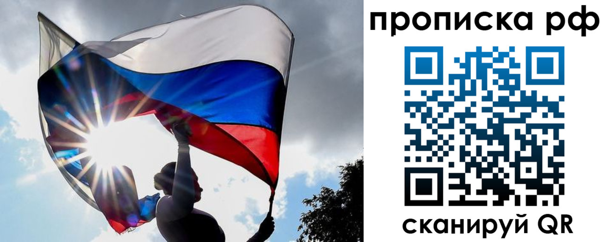 прописка для школы в Щёкино